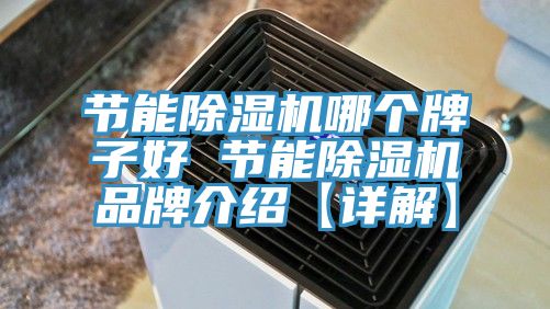 节能猫咪成人官网哪个牌子好 节能猫咪成人官网品牌介绍【详解】