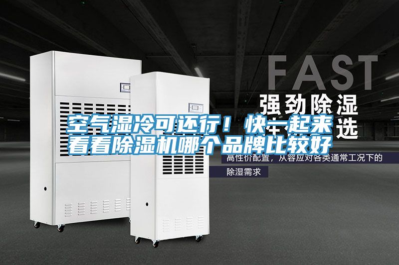 空气湿冷可还行！快一起来看看猫咪成人官网哪个品牌比较好