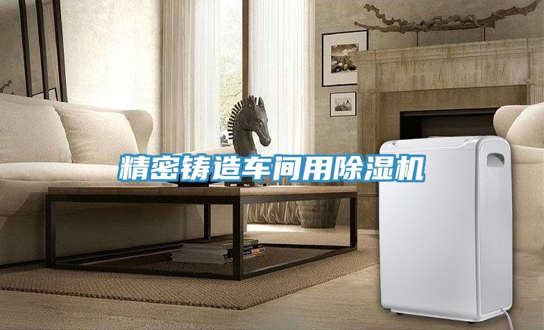 精密铸造车间用猫咪成人官网