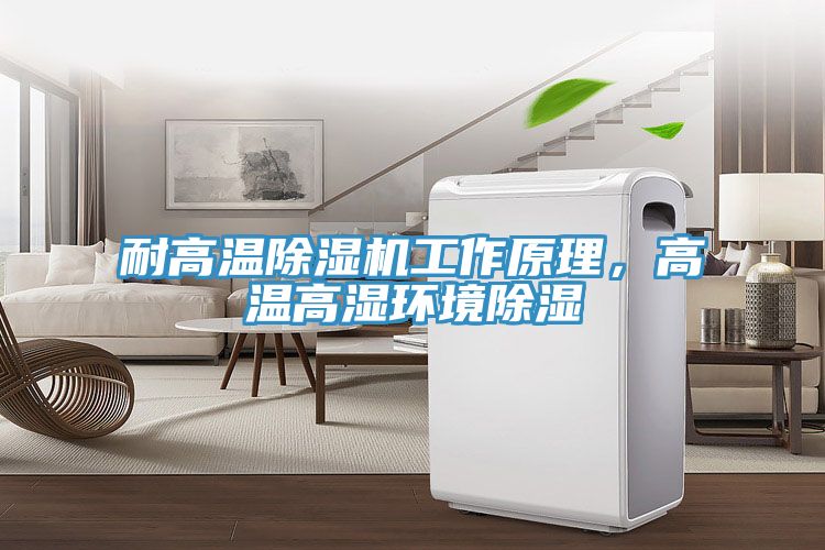 耐高温猫咪成人官网工作原理，高温高湿环境除湿