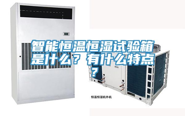 智能恒温恒湿试验箱是什么？有什么特点？