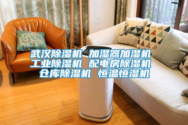武汉猫咪成人官网 加湿器加湿机 工业猫咪成人官网 配电房猫咪成人官网 仓库猫咪成人官网 恒温恒湿机