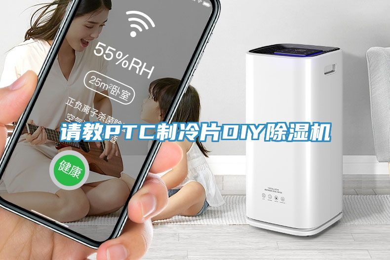 请教PTC制冷片DIY猫咪成人官网