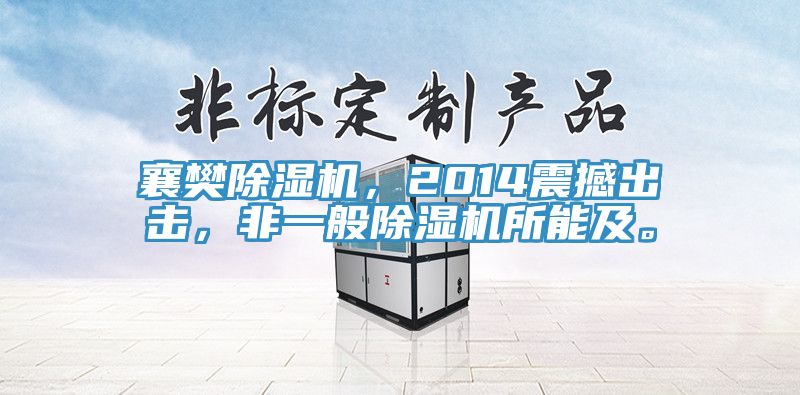 襄樊猫咪成人官网，2014震撼出击，非一般猫咪成人官网所能及。