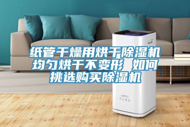 纸管干燥用烘干猫咪成人官网均匀烘干不变形 如何挑选购买猫咪成人官网