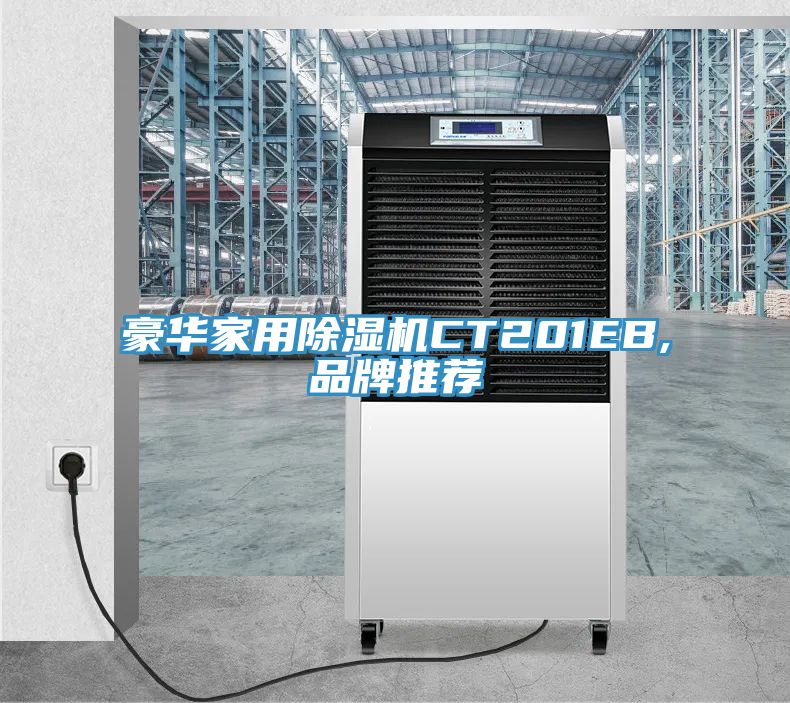 豪华家用猫咪成人官网CT201EB,品牌推荐