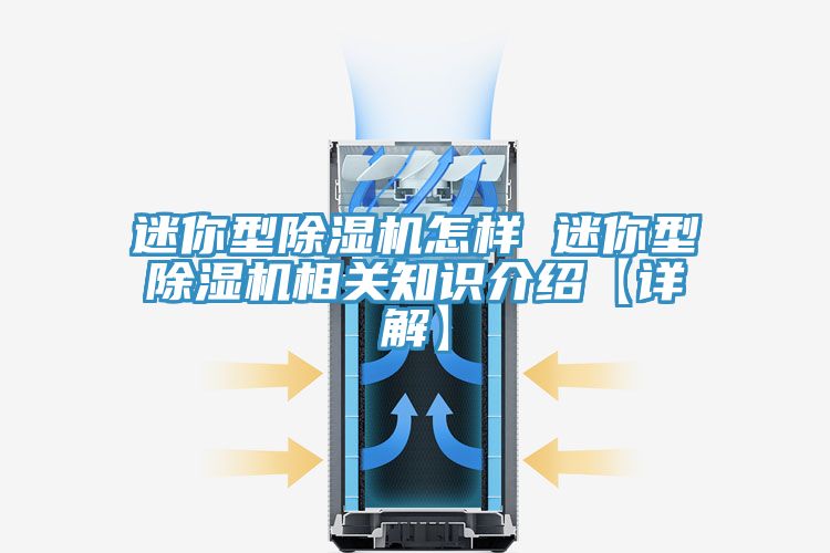 迷你型猫咪成人官网怎样 迷你型猫咪成人官网相关知识介绍【详解】