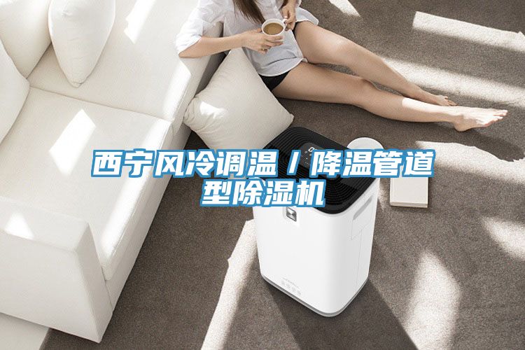 西宁风冷调温／降温管道型猫咪成人官网