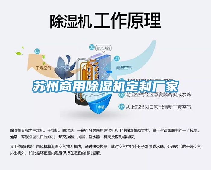 苏州商用猫咪成人官网定制厂家