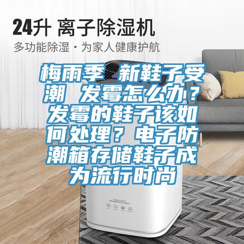 梅雨季 新鞋子受潮 发霉怎么办？发霉的鞋子该如何处理？电子防潮箱存储鞋子成为流行时尚