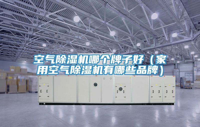 空气猫咪成人官网哪个牌子好（家用空气猫咪成人官网有哪些品牌）