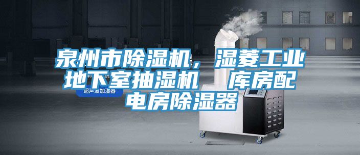 泉州市猫咪成人官网，湿菱工业地下室抽湿机  库房配电房除湿器