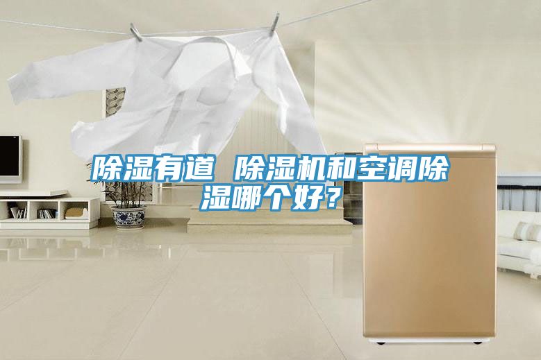 除湿有道 猫咪成人官网和空调除湿哪个好？
