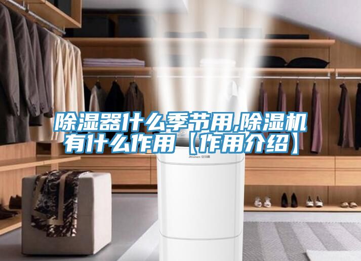 除湿器什么季节用,猫咪成人官网有什么作用【作用介绍】