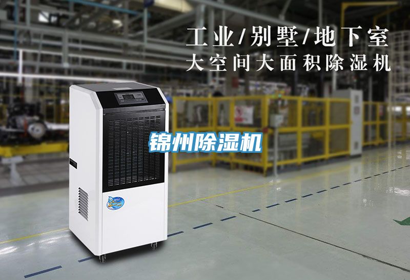 锦州猫咪成人官网