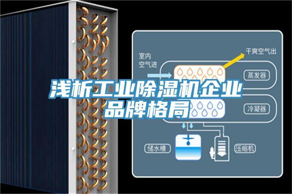 浅析工业猫咪成人官网企业品牌格局