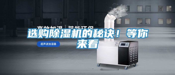 选购猫咪成人官网的秘诀！等你来看