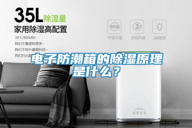 电子防潮箱的除湿原理是什么？