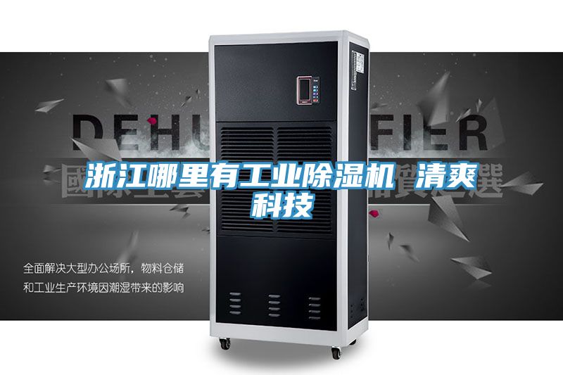 浙江哪里有工业猫咪成人官网 清爽科技