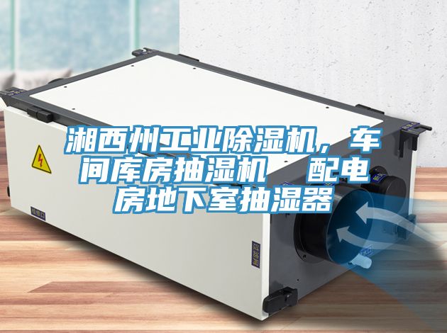 湘西州工业猫咪成人官网，车间库房抽湿机  配电房地下室抽湿器