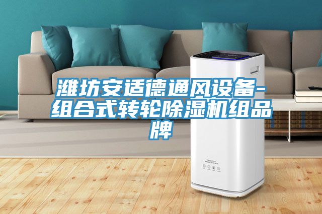 潍坊安适德通风设备-组合式转轮猫咪成人官网组品牌