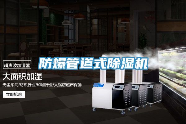 防爆管道式猫咪成人官网