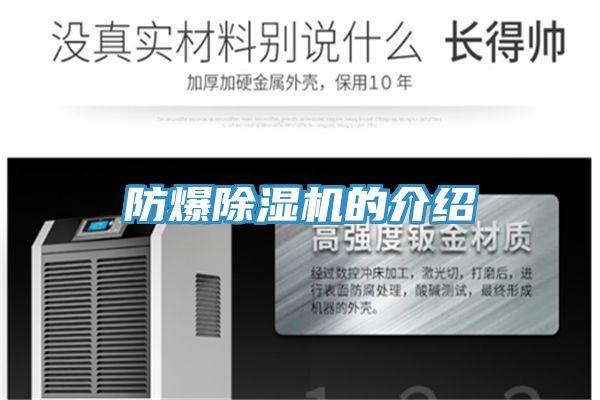 防爆猫咪成人官网的介绍