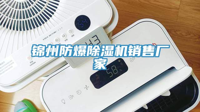 锦州防爆猫咪成人官网销售厂家