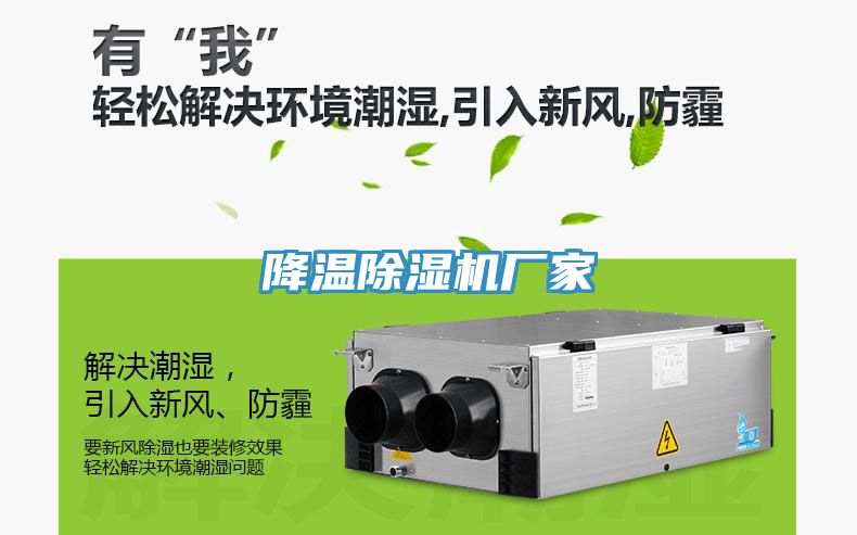 降温猫咪成人官网厂家
