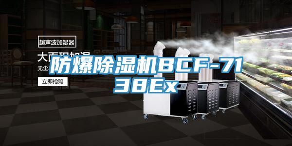 防爆猫咪成人官网BCF-7138Ex