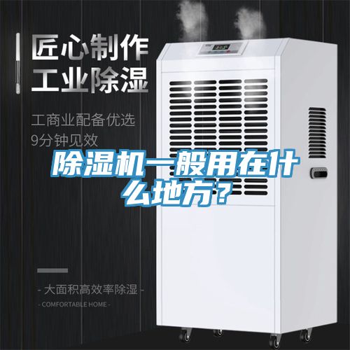猫咪成人官网一般用在什么地方？
