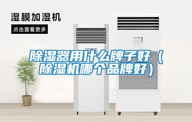 除湿器用什么牌子好（猫咪成人官网哪个品牌好）