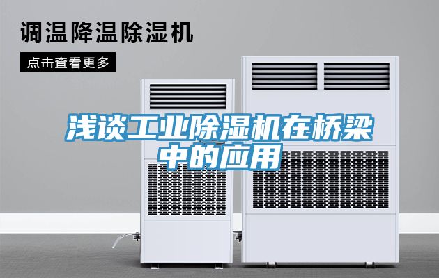 浅谈工业猫咪成人官网在桥梁中的应用