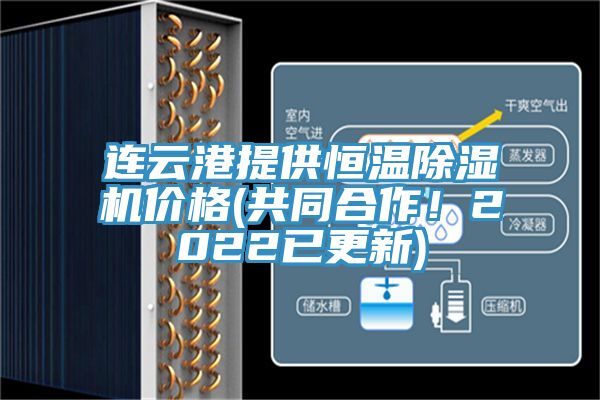 连云港提供恒温猫咪成人官网价格(共同合作！2022已更新)