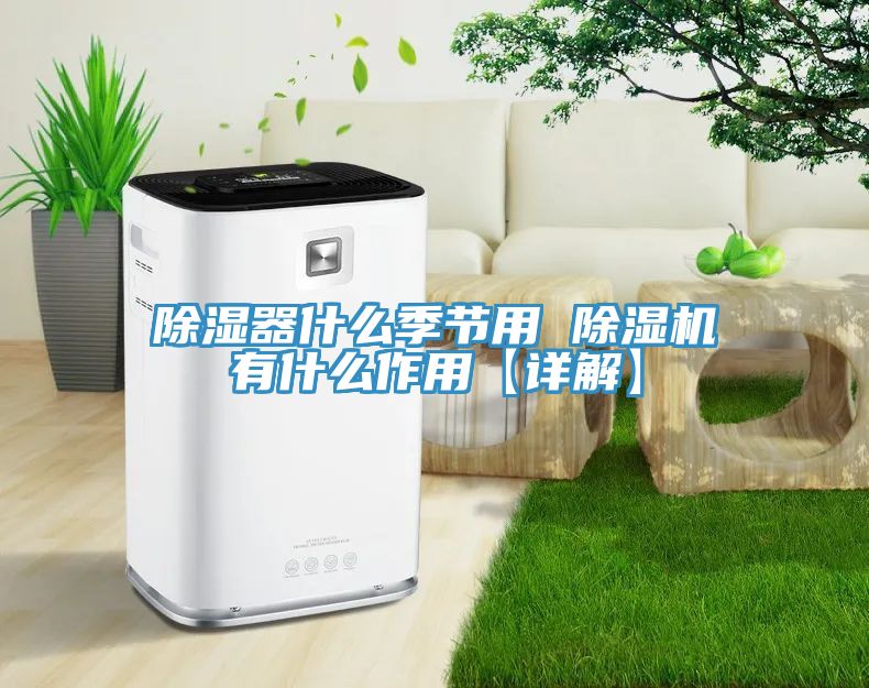 除湿器什么季节用 猫咪成人官网有什么作用【详解】