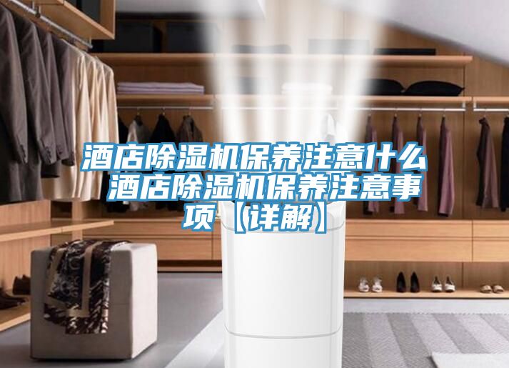 酒店猫咪成人官网保养注意什么 酒店猫咪成人官网保养注意事项【详解】