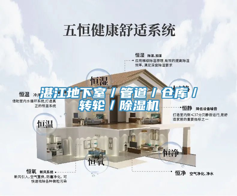 湛江地下室／管道／仓库／转轮／猫咪成人官网