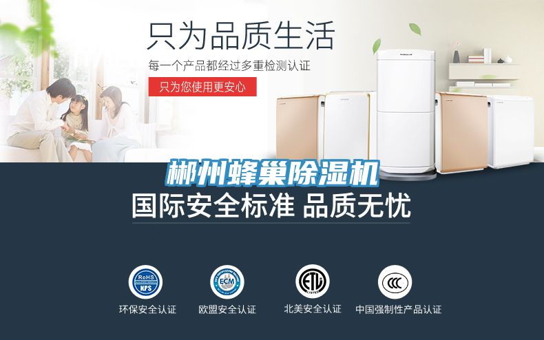 郴州蜂巢猫咪成人官网