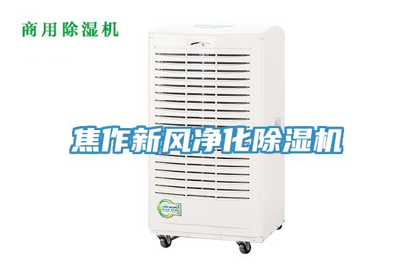 焦作新风净化猫咪成人官网