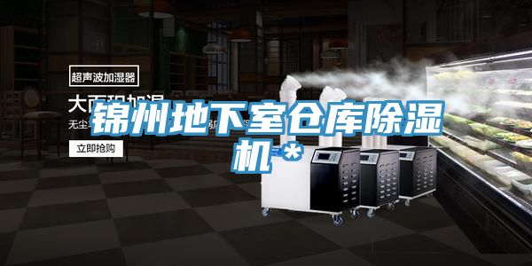 锦州地下室仓库猫咪成人官网＊
