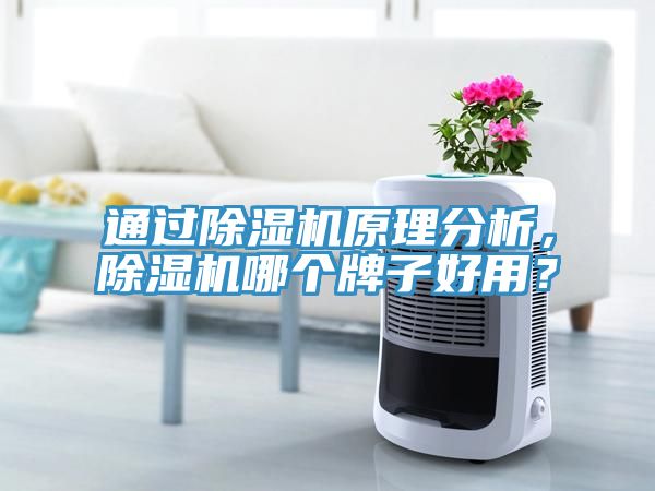 通过猫咪成人官网原理分析，猫咪成人官网哪个牌子好用？