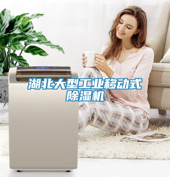 湖北大型工业移动式猫咪成人官网