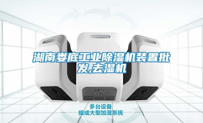 湖南娄底工业猫咪成人官网装置批发,去湿机