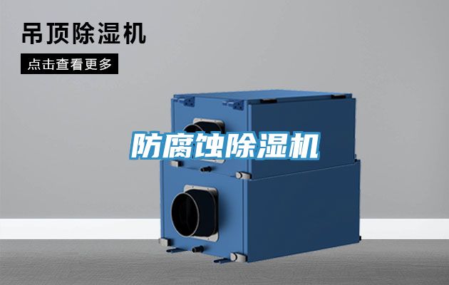 防腐蚀猫咪成人官网