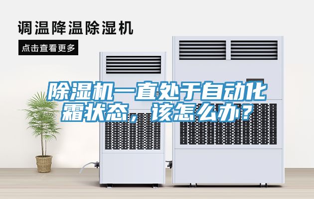 猫咪成人官网一直处于自动化霜状态，该怎么办？