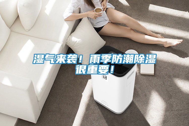 湿气来袭！雨季防潮除湿很重要！