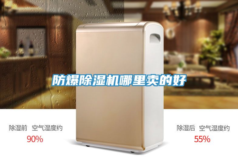 防爆猫咪成人官网哪里卖的好