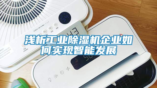 浅析工业猫咪成人官网企业如何实现智能发展