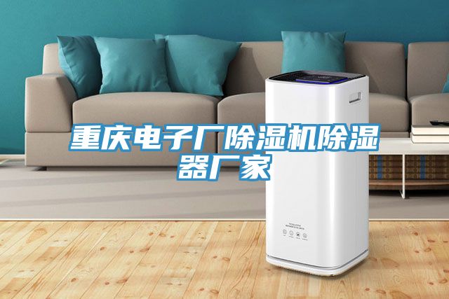 重庆电子厂猫咪成人官网除湿器厂家