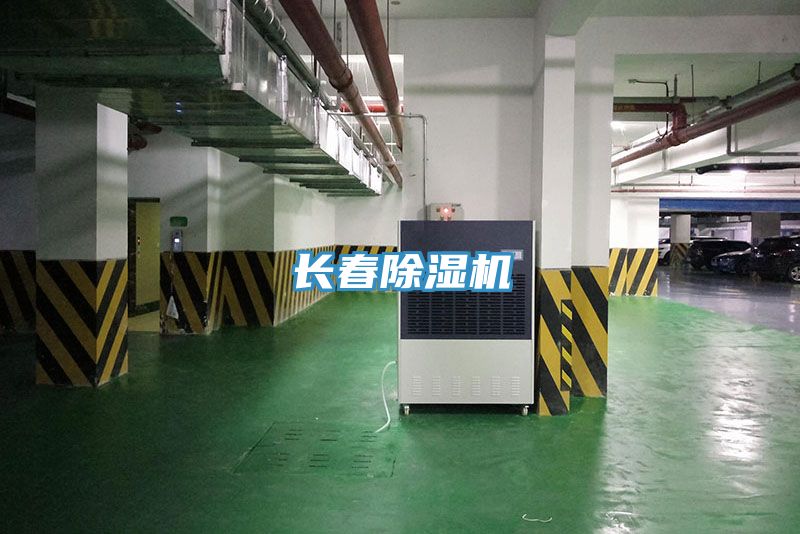 长春猫咪成人官网